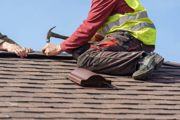 Best Roof Gutter Cleaning  in Mason, MI