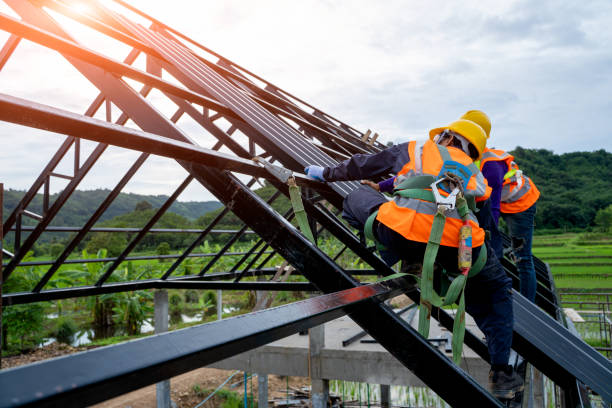 Best Roof Waterproofing Services  in Mason, MI